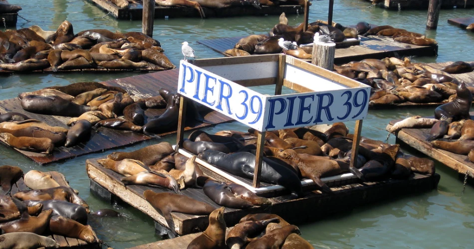 Las 10 Mejores Atracciones en San Francisco