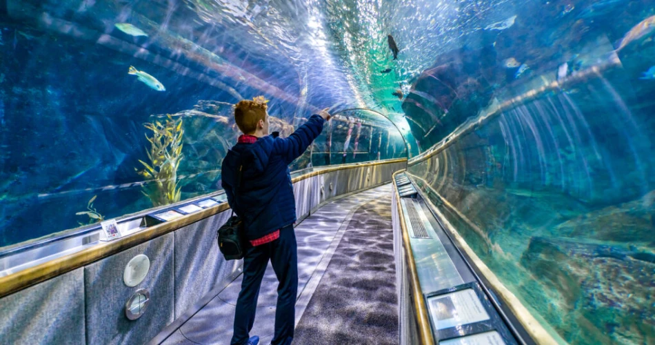 Las 10 mejores cosas que hacer en San Francisco con niños