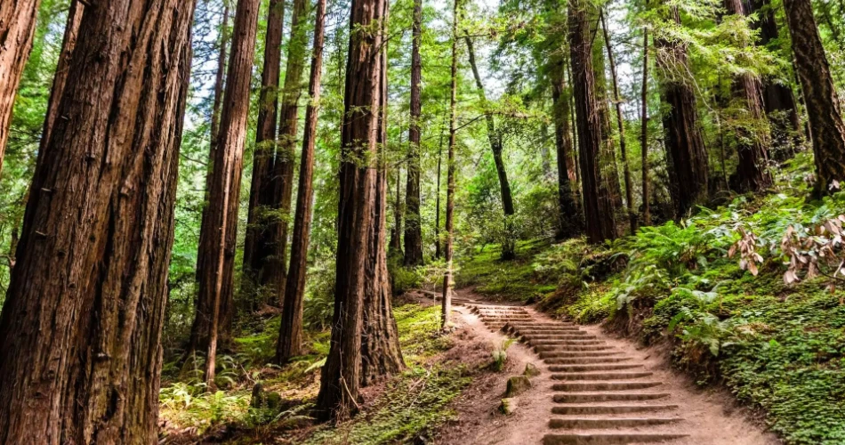 Las 10 mejores cosas que hacer en San Francisco con niños