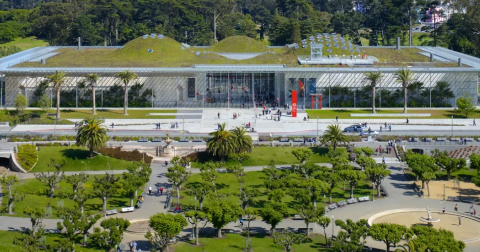 20 Mejores Cosas para Hacer en San Francisco con Niños