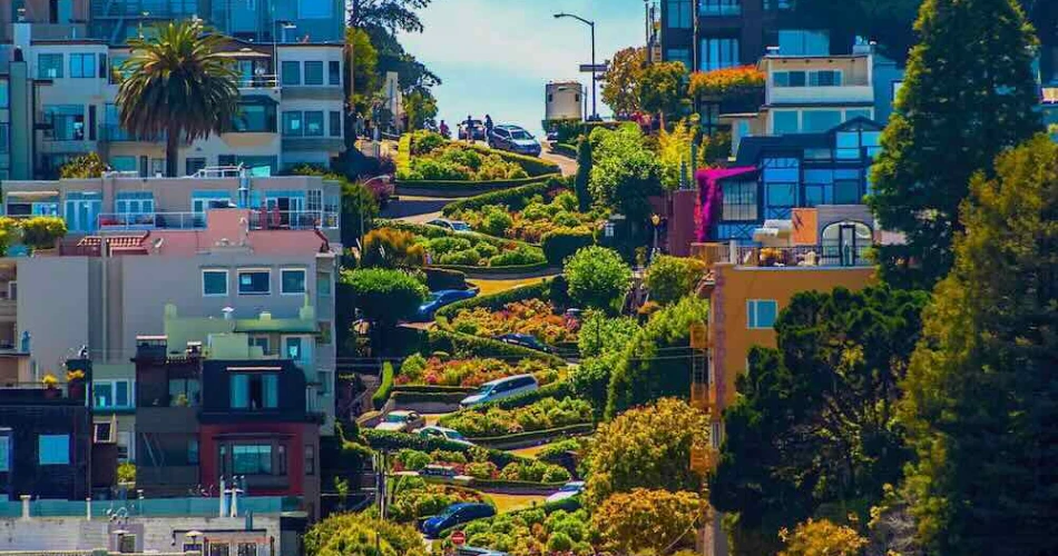 20 Mejores Cosas para Hacer en San Francisco con Niños