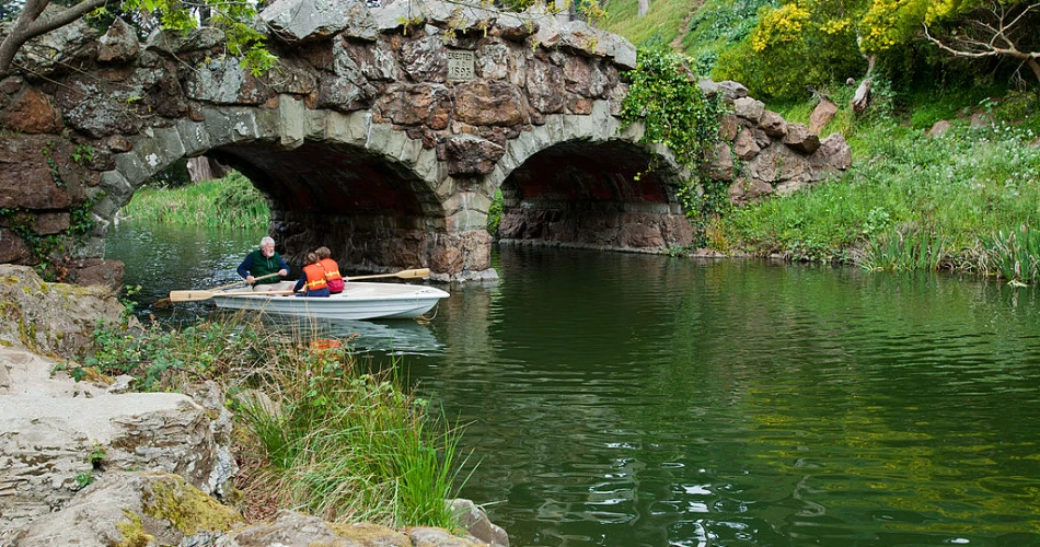 20 Mejores Cosas para Hacer en San Francisco con Niños