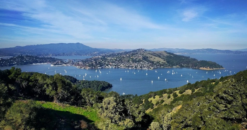 20 Mejores Cosas para Hacer en San Francisco con Niños