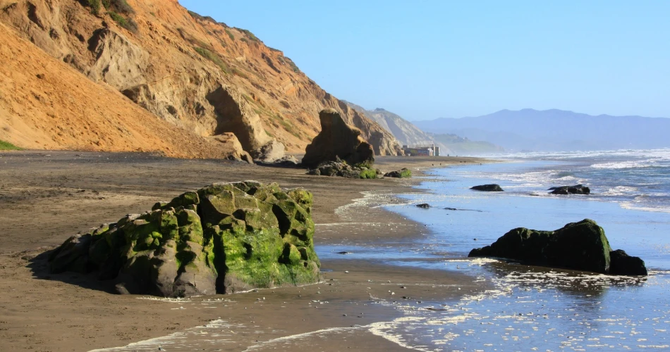 20 Mejores Cosas para Hacer en San Francisco con Niños